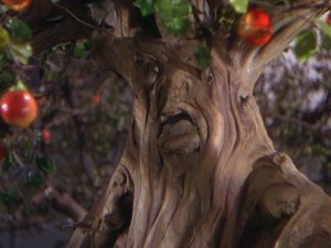 Grumpy, apple-throwing talking tree from the Wizard of Oz
